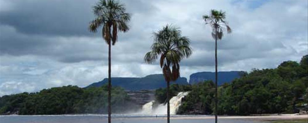 venezuela the lost world